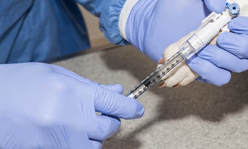 Oncology certificate thumbnail