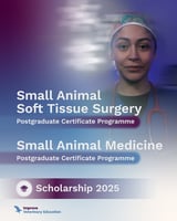 Poster saying Small Animal Soft Tissue Surgery Certificate Programme and Small Animal Medicine Certificate Programme Scholarship 2025