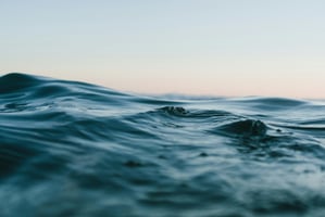 Rough water, which can be implicated in veterinary near-drowning cases